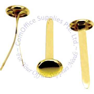 ROUND HEAD FASTENER 50MM (100s)