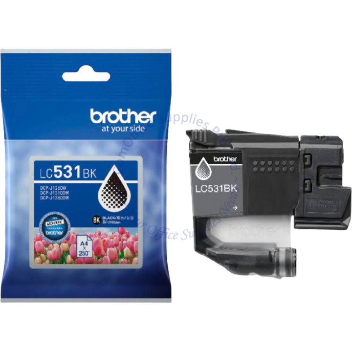 Our Products