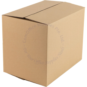 CARTON BOX (10s) 31x22x25CM